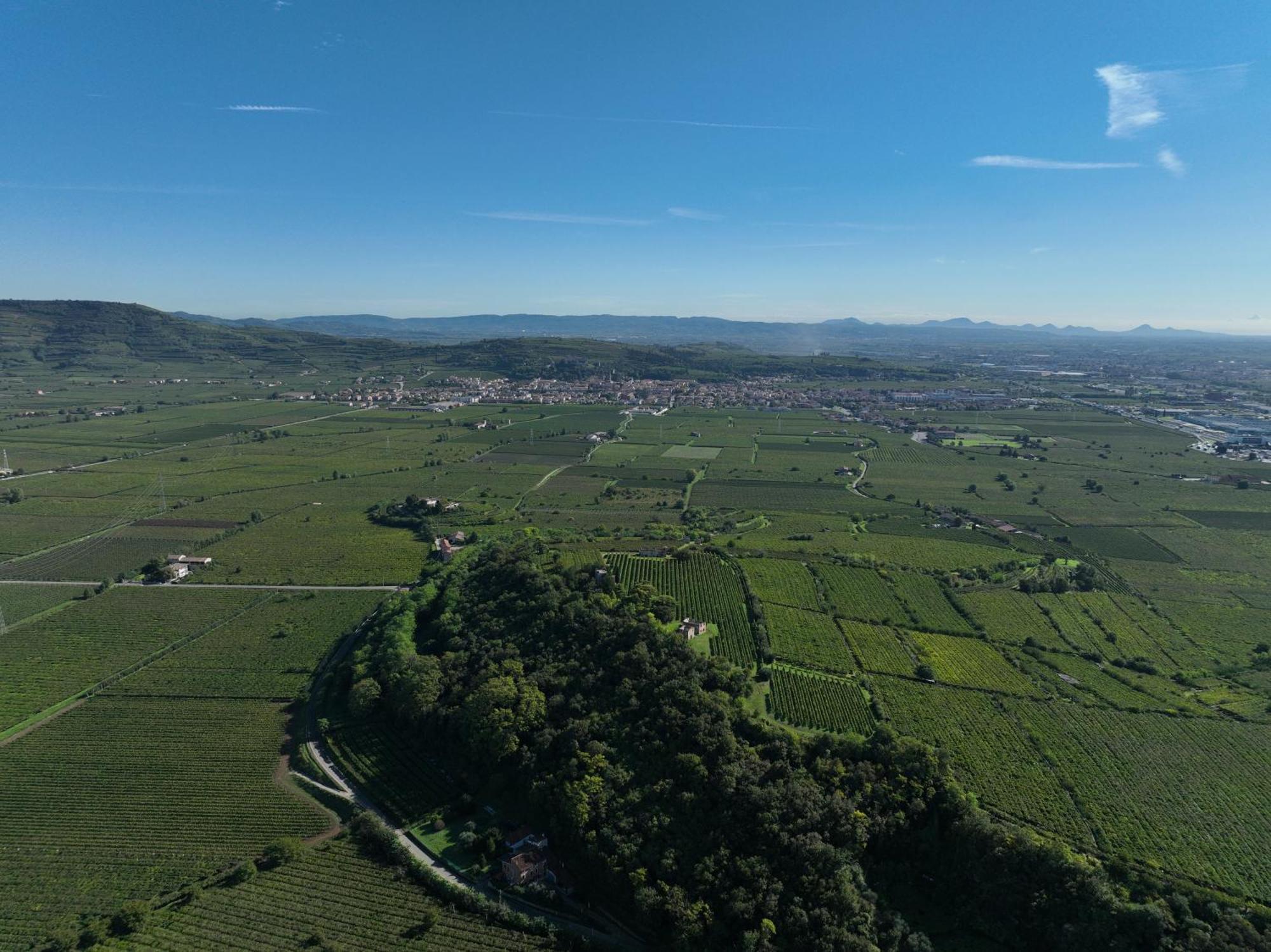 Agriturismo Monte Bisson Soave  Exterior foto